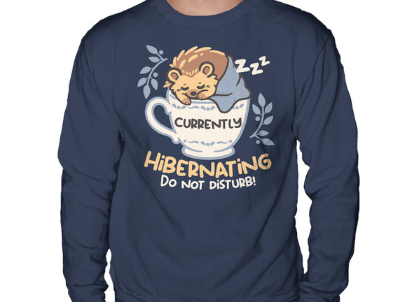 Currently Hibernating Hedgehog