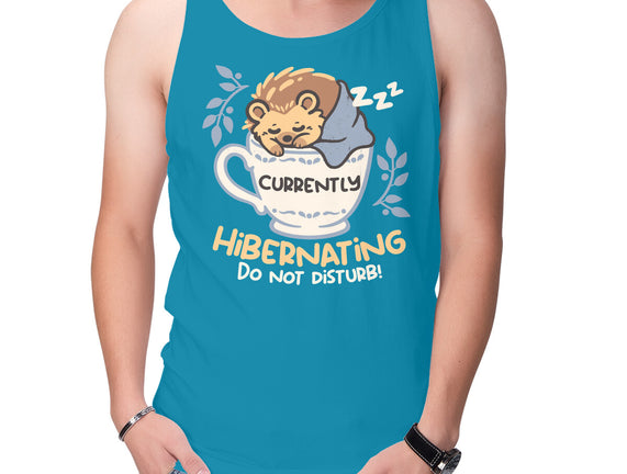 Currently Hibernating Hedgehog