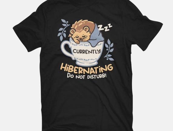 Currently Hibernating Hedgehog
