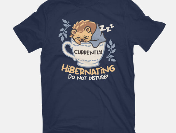 Currently Hibernating Hedgehog