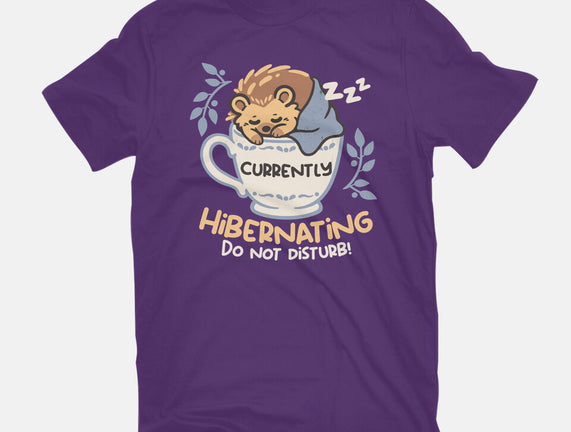 Currently Hibernating Hedgehog