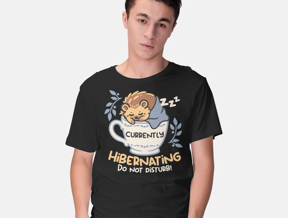 Currently Hibernating Hedgehog