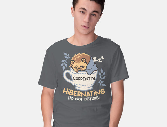 Currently Hibernating Hedgehog