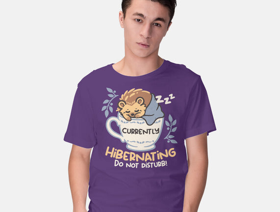 Currently Hibernating Hedgehog