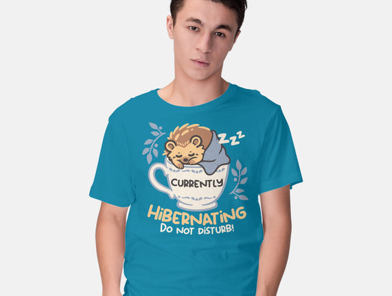 Currently Hibernating Hedgehog