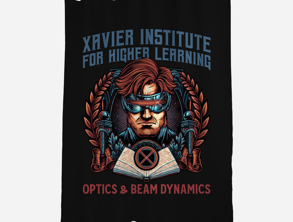 Optics And Beam Dynamics