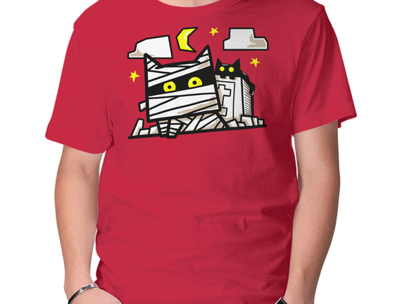 Cat Mummy