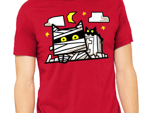Cat Mummy