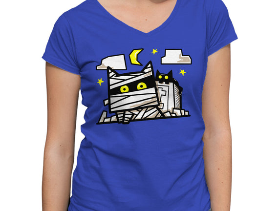 Cat Mummy