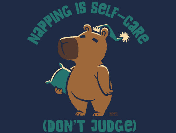Don't Judge My Napping