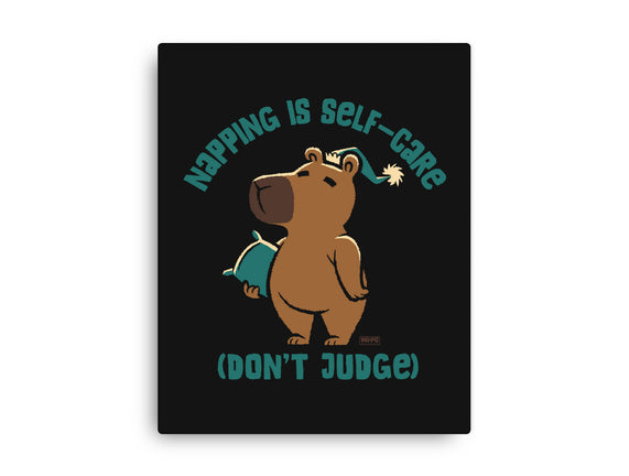 Don't Judge My Napping