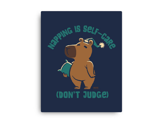 Don't Judge My Napping