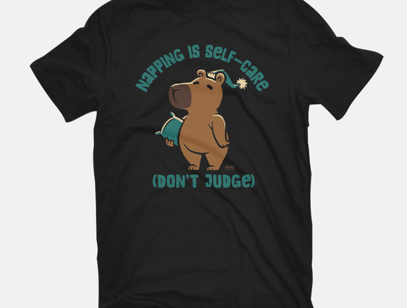 Don't Judge My Napping