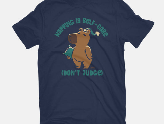 Don't Judge My Napping