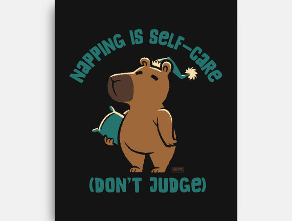Don't Judge My Napping