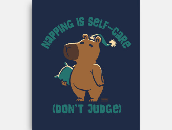 Don't Judge My Napping