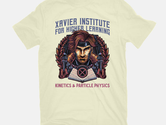 Kinetics And Particle Physics
