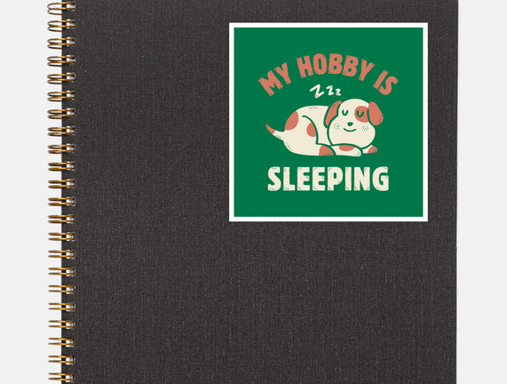 My Hobby Is Sleeping