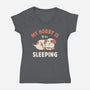 My Hobby Is Sleeping-Womens-V-Neck-Tee-brunopires