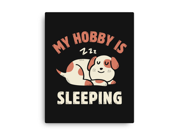 My Hobby Is Sleeping