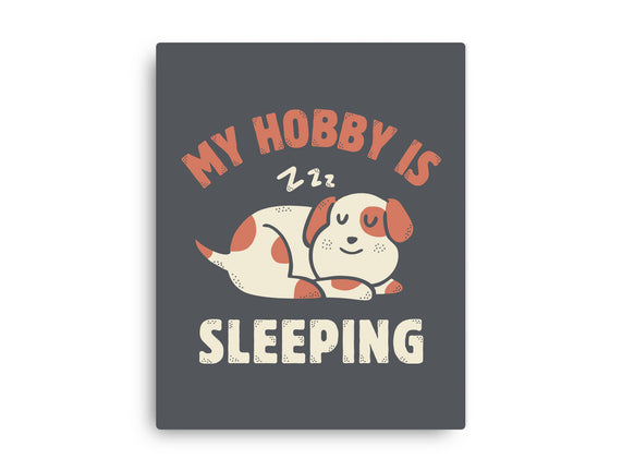 My Hobby Is Sleeping