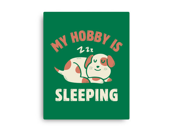 My Hobby Is Sleeping
