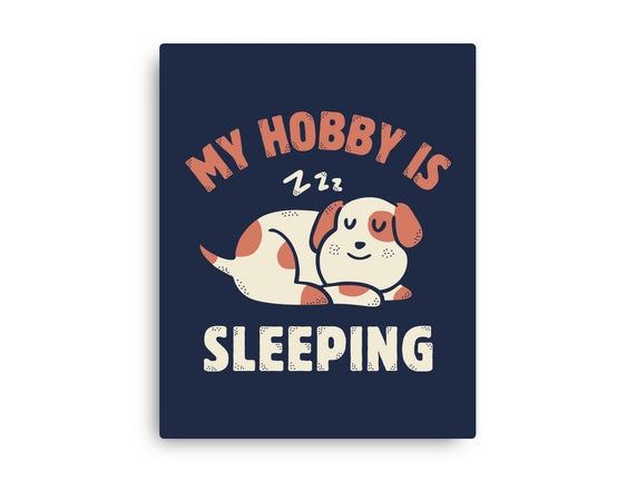 My Hobby Is Sleeping