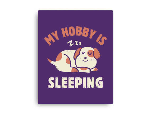My Hobby Is Sleeping