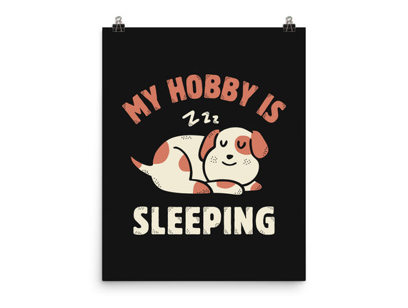 My Hobby Is Sleeping