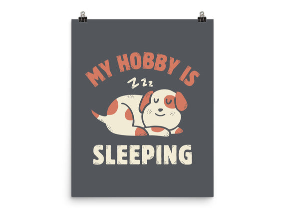 My Hobby Is Sleeping