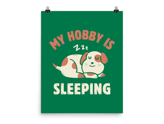 My Hobby Is Sleeping