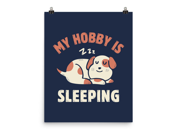 My Hobby Is Sleeping