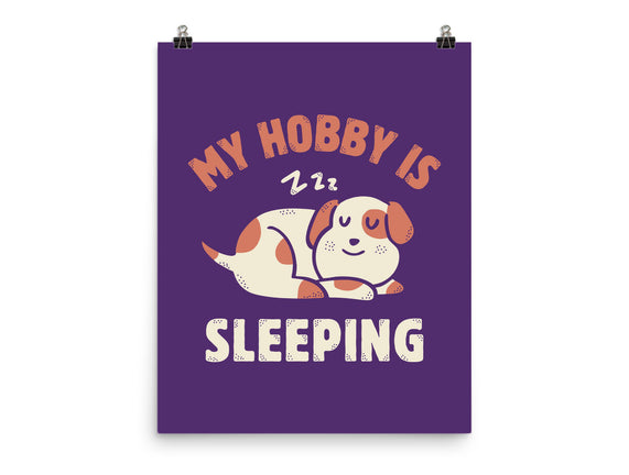 My Hobby Is Sleeping