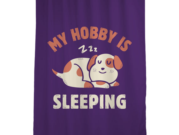My Hobby Is Sleeping