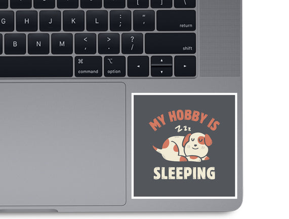 My Hobby Is Sleeping