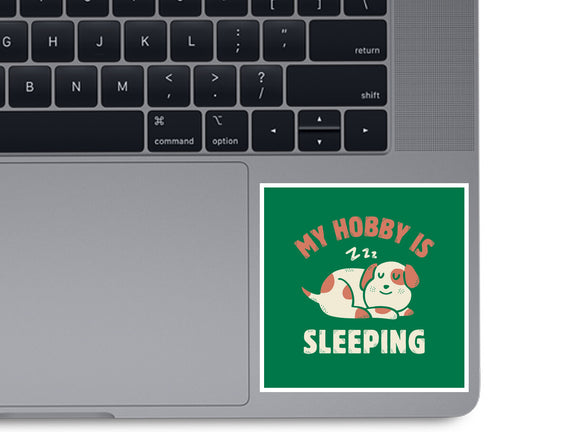 My Hobby Is Sleeping