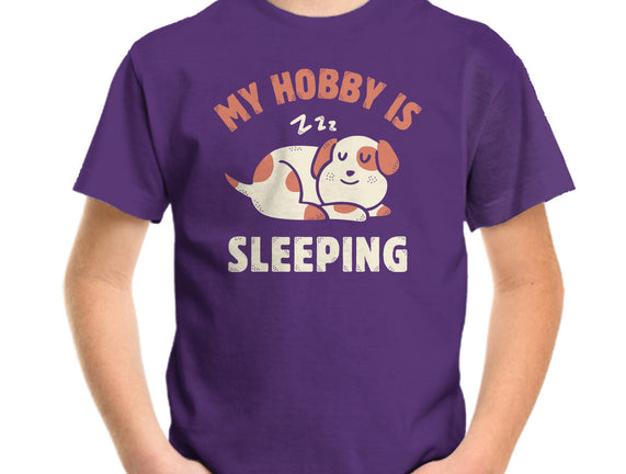 My Hobby Is Sleeping