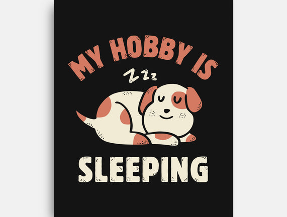 My Hobby Is Sleeping