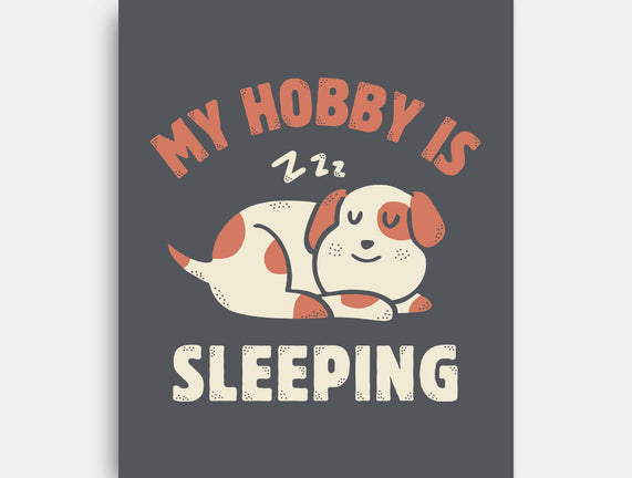 My Hobby Is Sleeping