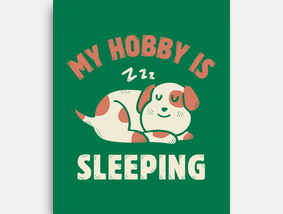 My Hobby Is Sleeping