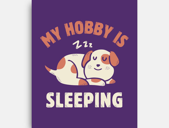 My Hobby Is Sleeping