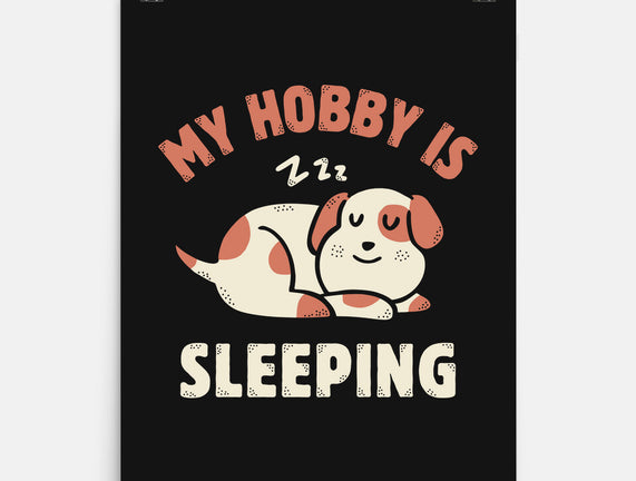 My Hobby Is Sleeping