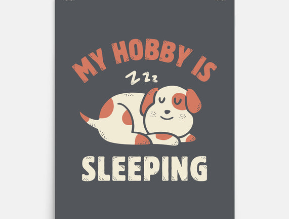My Hobby Is Sleeping