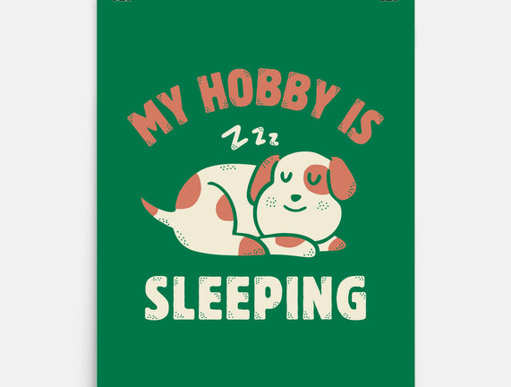 My Hobby Is Sleeping