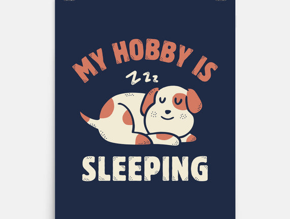 My Hobby Is Sleeping