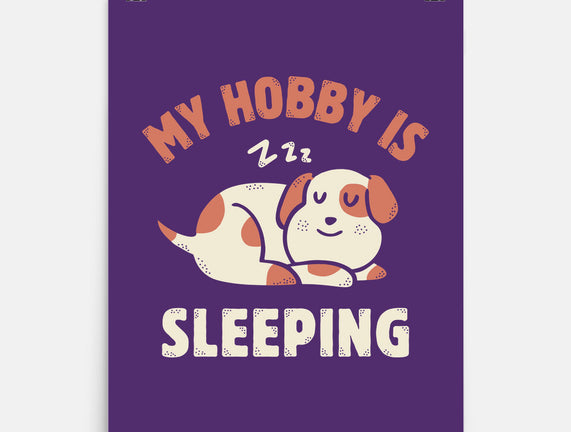My Hobby Is Sleeping