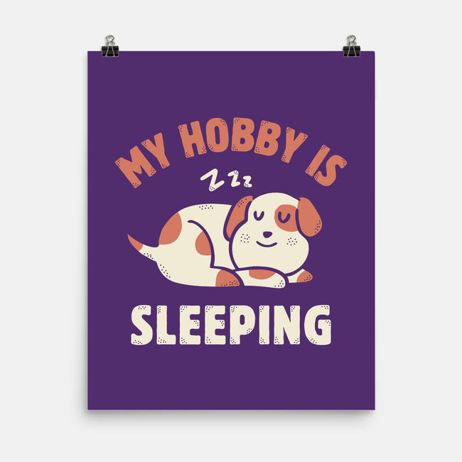 My Hobby Is Sleeping-None-Matte-Poster-brunopires