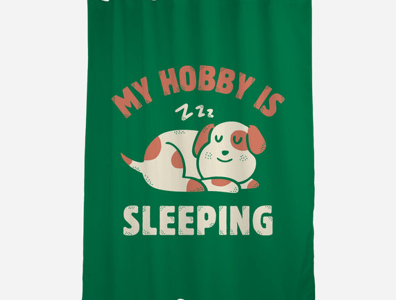 My Hobby Is Sleeping
