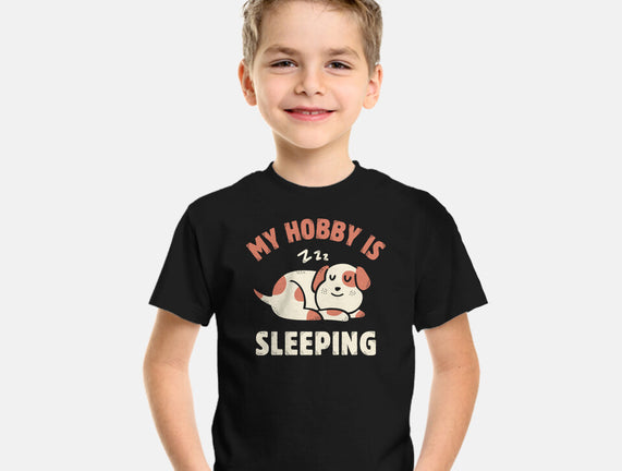 My Hobby Is Sleeping