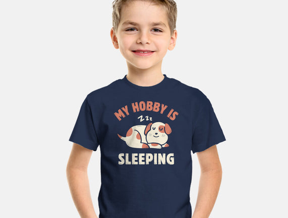 My Hobby Is Sleeping